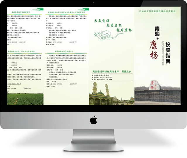 黄南康杨投资指南